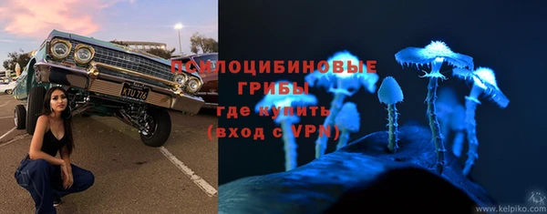 гашик Балабаново