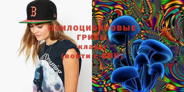 бошки Балахна