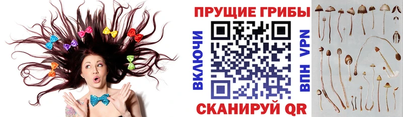 Галлюциногенные грибы GOLDEN TEACHER Чусовой